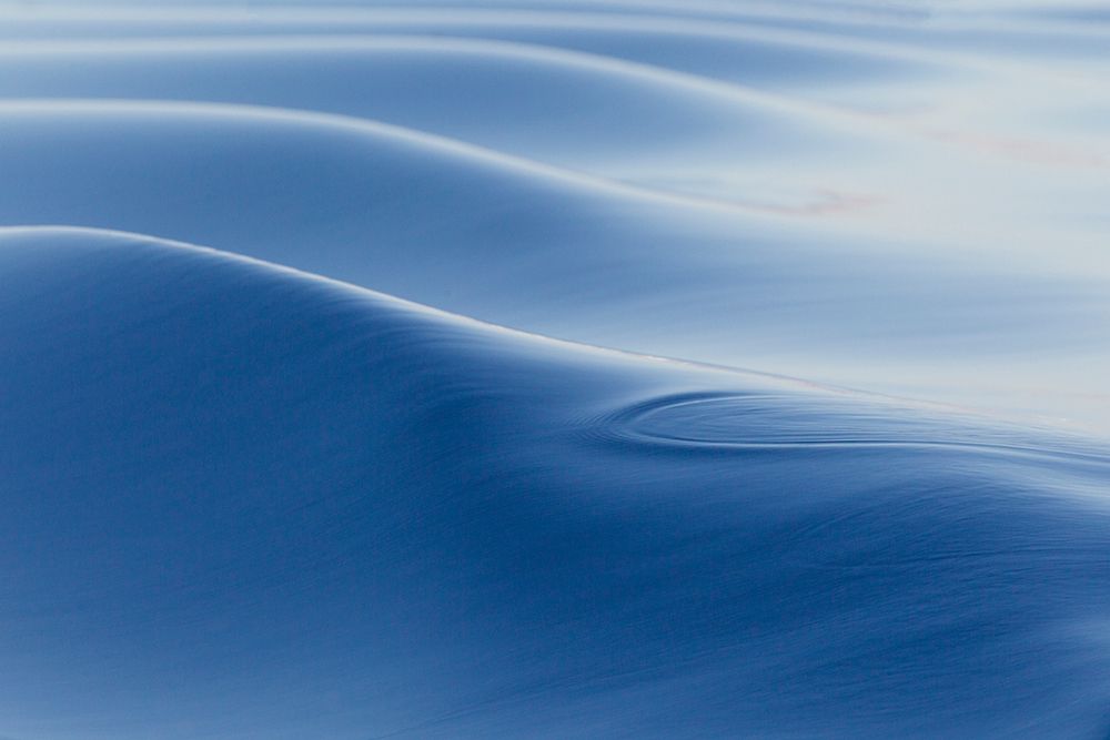 Southern Ocean-near South Georgia-Patterns created by the ship in the glassy water